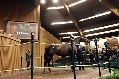 keeneland sales results|2022 Keeneland November Breeding Stock Sale .